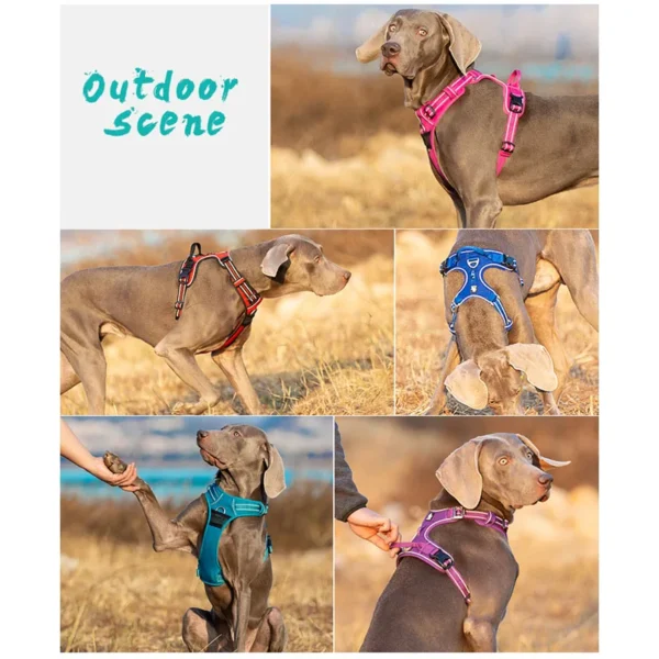Truelove Front Nylon Dog Harness No Pull Vest Soft Adjustable Safety Harness For Dog Small Large Running Training French Bulldog - Image 4