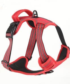 Pull Dog Harness