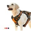 Pull Dog Harness