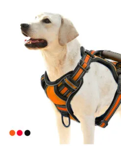Pull Dog Harness