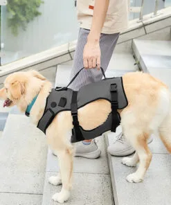 Dog Mobility Support Harness for Weak Legs