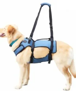 Dog Mobility Support Harness for Weak Legs